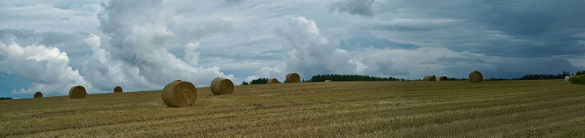 Agro